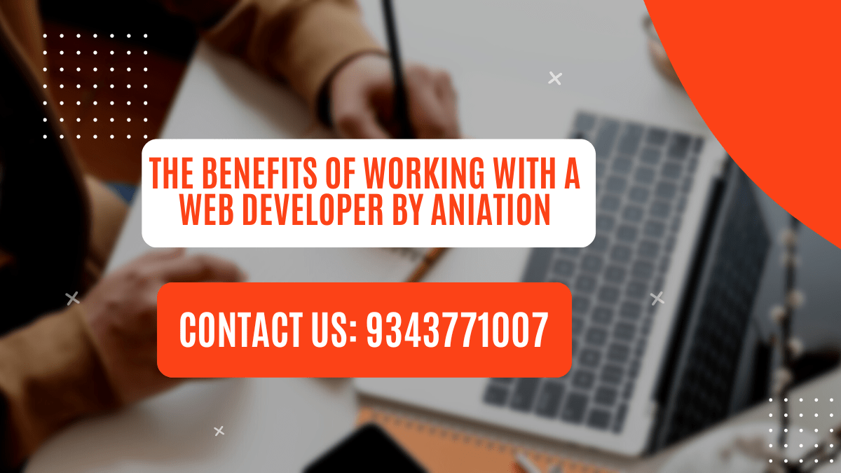 Web Developer By Aniation